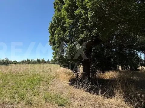 VENTA DE CHACRA EN FERRI