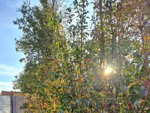 Terreno en Venta en Plottier, Confluencia