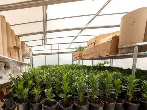 DEPARTAMENTO EN VENTA. CENTRO. CIUDAD DE CÓRDOBA.