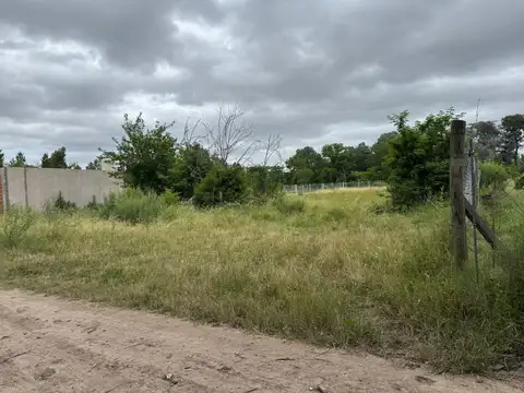 Venta Lote 1555 m2 - Arturo Seguí - La Plata