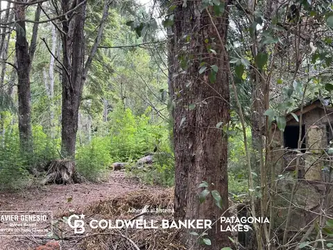 Boulevard Quetrihue al 1400