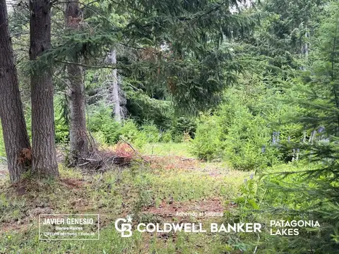 VENTA Lote | Terreno 3000m2 UF 6 Villa La Angostura Acceso al lago