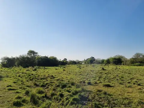 Terreno en Venta de 1400,0 m2