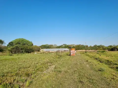 Chacra 91 Quinta 1 Pc 4