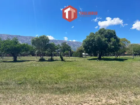 Jardines de la Plaza Lote 167