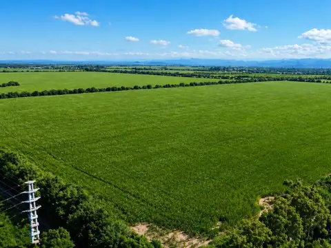 Campo en Venta en Unquillo, Colón