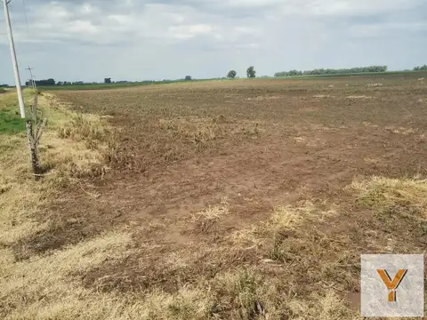 Campo en venta - 450 Hectáreas - Espigas