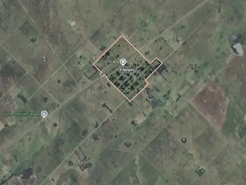 Campo en venta - 450 Hectáreas - Espigas