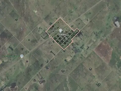 Campo en venta - 450 Hectáreas - Espigas