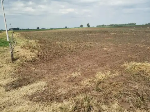 Campo en venta - 450 Hectáreas - Espigas