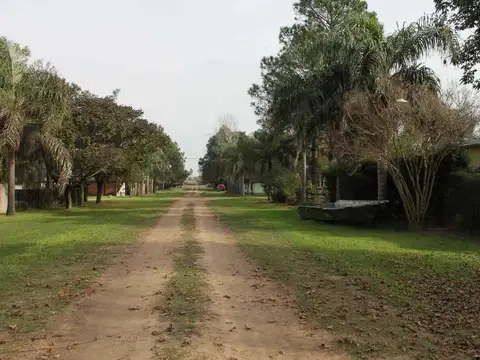 Los Naranjos 200