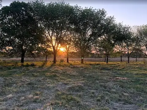 Terreno en Venta 22  mts Frente