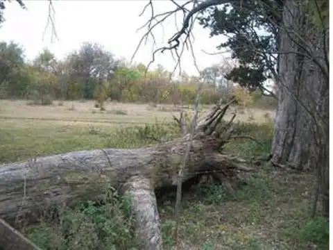 Terreno en Venta en Villa Anisacate, USD 30.000