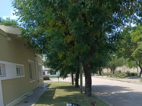 Guillermo Fenoglio (CAÑITAS) 4600