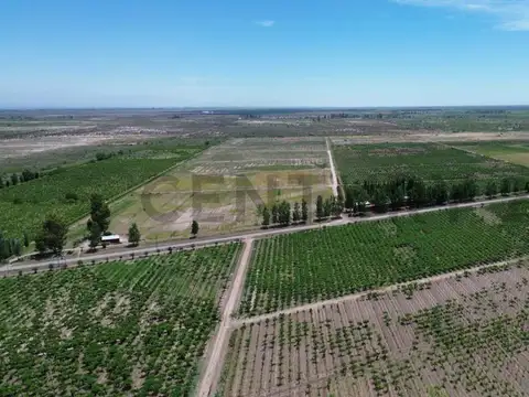 Finca 3 de Mayo Lavalle Mendoza
