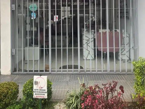 Local en Alquiler 10 años