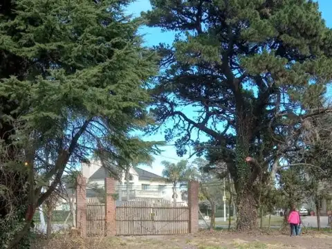 Terreno en Venta de 26000,0 m2