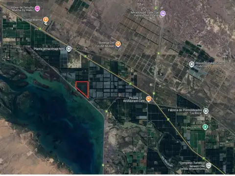 Chacra venta San Patricio del Chañar 15.2 hectareas