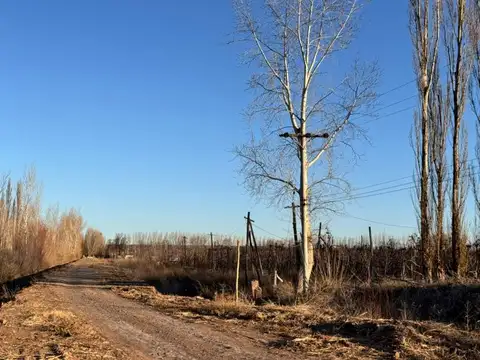 Chacra venta San Patricio del Chañar 15.2 hectareas