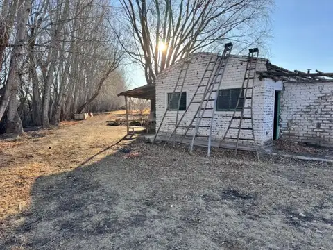 Chacra venta San Patricio del Chañar 15.2 hectareas