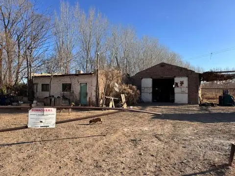 Chacra venta San Patricio del Chañar 15.2 hectareas