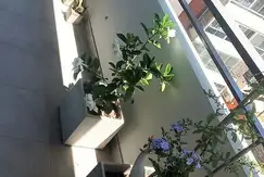 GREGORY 1165 - Foto 21