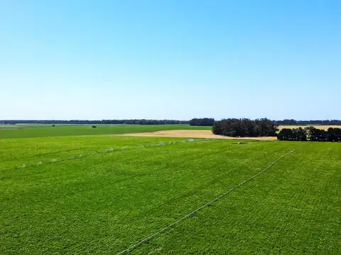 Miramar - 537 has. Agrícola