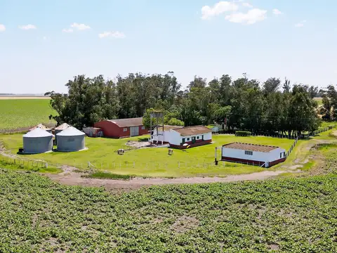 Miramar - 537 has. Agrícola