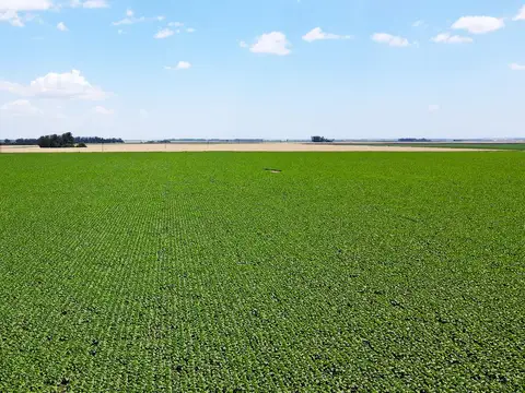 Miramar - 537 has. Agrícola