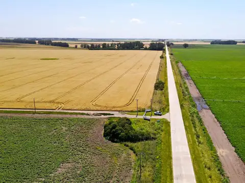 Miramar - 537 has. Agrícola