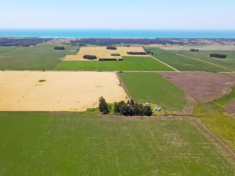 Miramar - 537 has. Agrícola