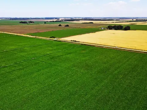 Miramar - 537 has. Agrícola