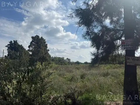 Terreno en Venta 165  mts Fondo