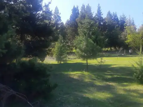 Terreno en Venta 43,64  mts Fondo