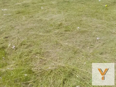 Terreno en Venta de 360,0 m2