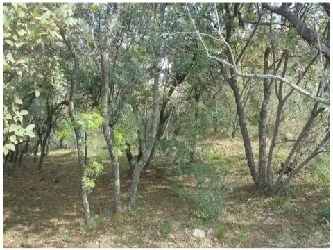 Terreno en Venta 50  mts Fondo