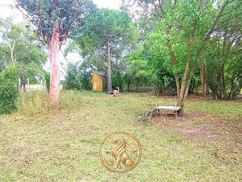 Venta Terreno de 4.600 m² en Madariaga a 150 Mts. de la Ruta 74