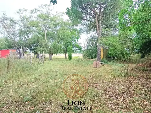 Terreno de 4.600 m² en Madariaga a 150 Mts. de la Ruta 74