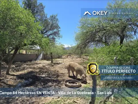 Campo en venta en VIlla de la Quebrada, San Luis, 84 hectáreas
