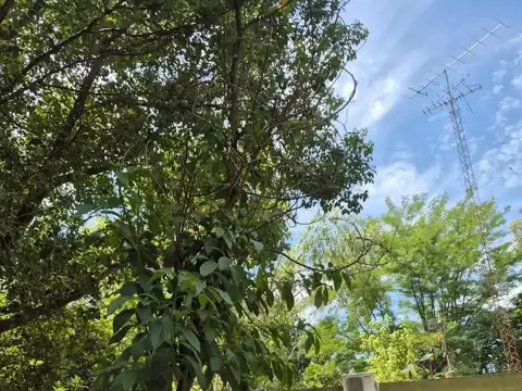 Quinta en Venta en La Reja Chica, USD 75.000