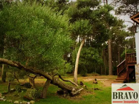 Complejo en venta ubicado en Las Gaviotas