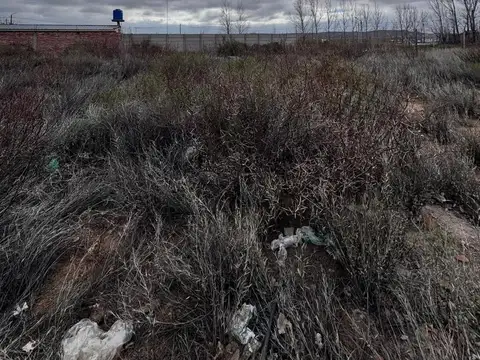 Terreno en plottier