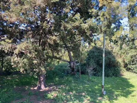 Casa en Venta 65 años