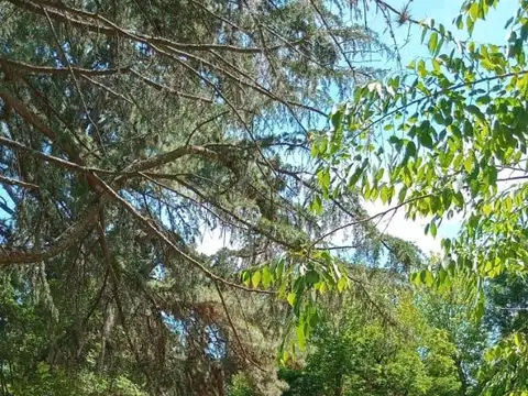 Terreno en Venta de 1700,0 m2