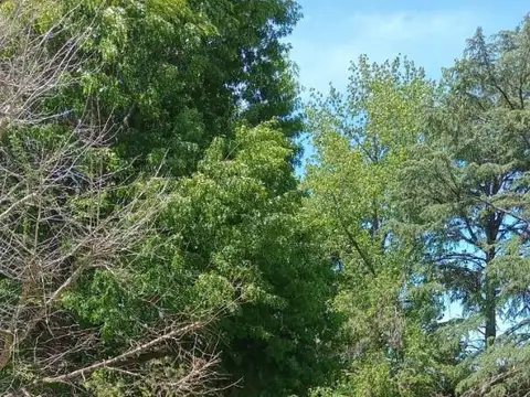 Terreno en Venta en El Cazador, USD 100.000