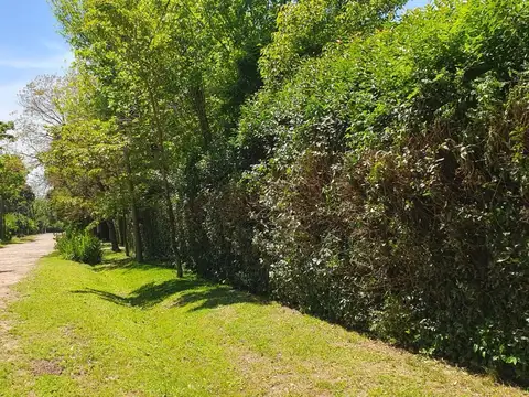 TERRENO EN EXCELENTE UBICACION(ENTRADA EL CAZADOR)