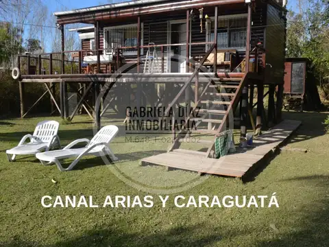 Arias y Caraguata 100
