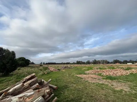 Terreno en Venta de 19367,0 m2