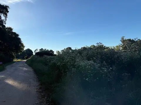 Ruta Provincial 47
