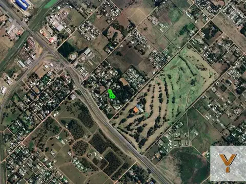 Los Aromos y Las Violetas